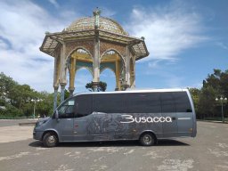 busaccabus 32